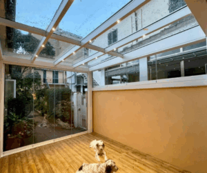 Progetto senza titolo (81)